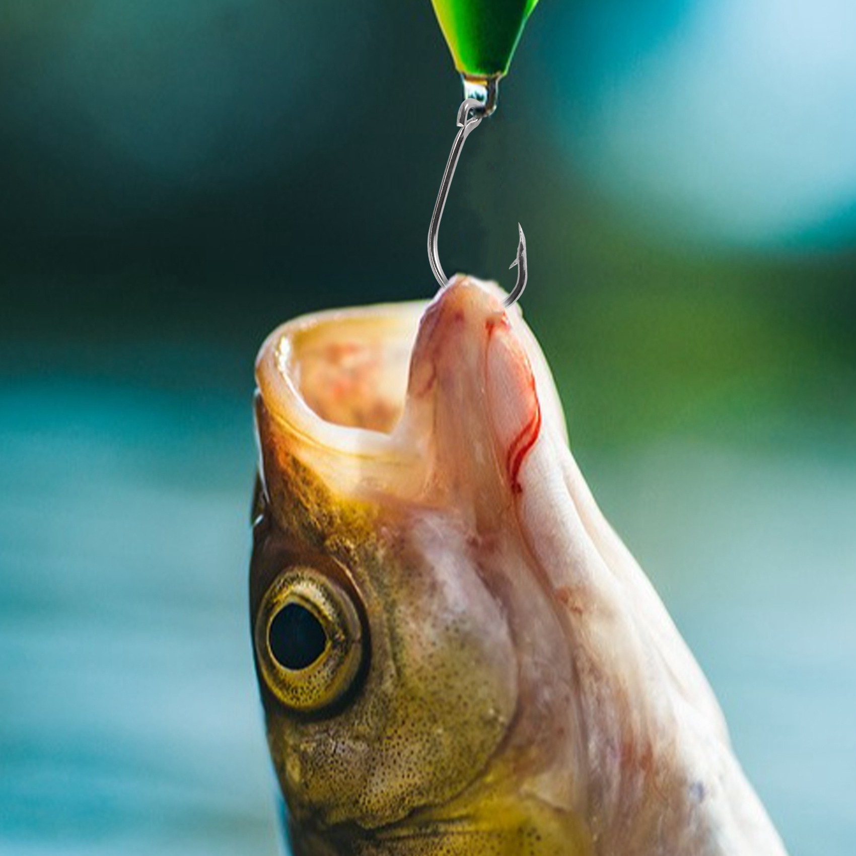 Nowość 500 szt./zestaw, miesza – Fishing Hook Jig recenzja i cena